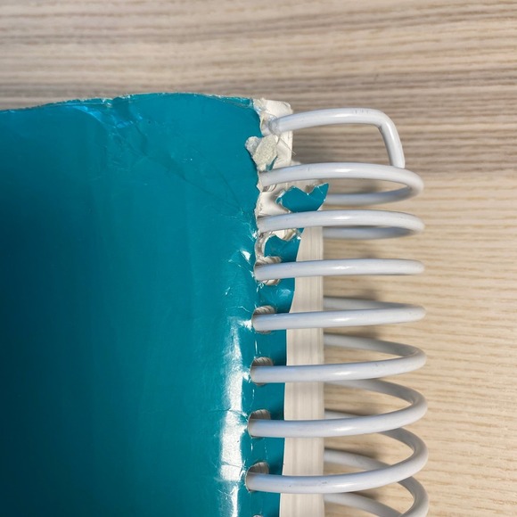 Saxon Math 1 Home Study Teacher's Edition Guide Homeschool Curriculum Larson - Picture 10 of 16